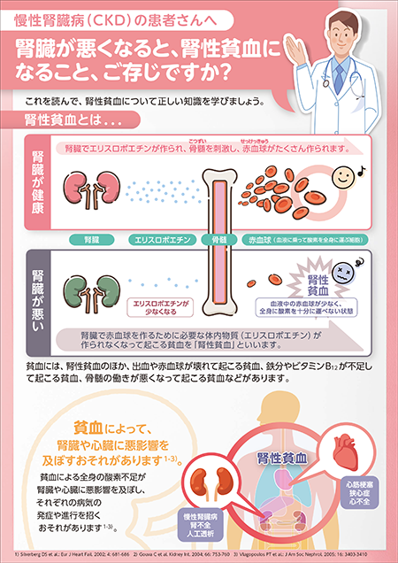 糖尿病と慢性腎臓病〜糖尿病から、糖尿病性腎症にならないように〜