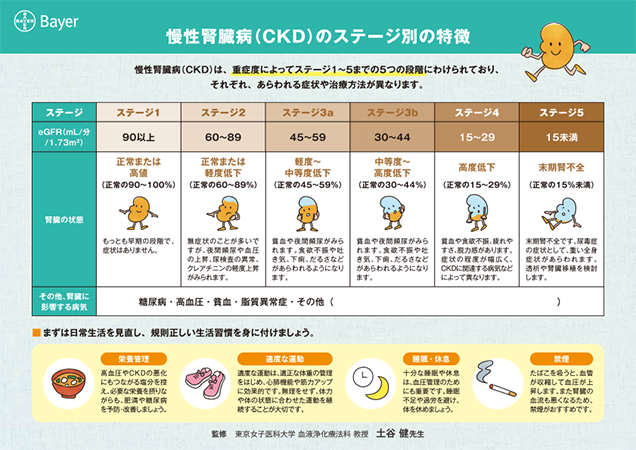 慢性腎臓病（CKD）のステージ別の特徴、自己管理と注意点