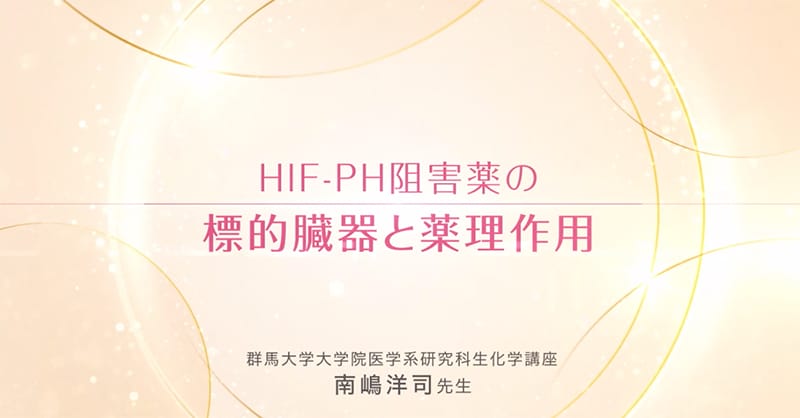 HIF-PH阻害薬の標的臓器と薬理作用