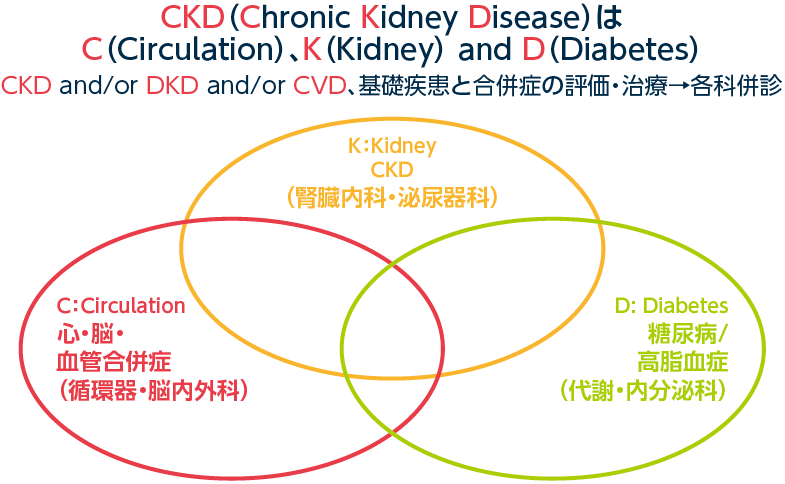 図2 CKD患者の心腎代謝連関を意識した院内連携