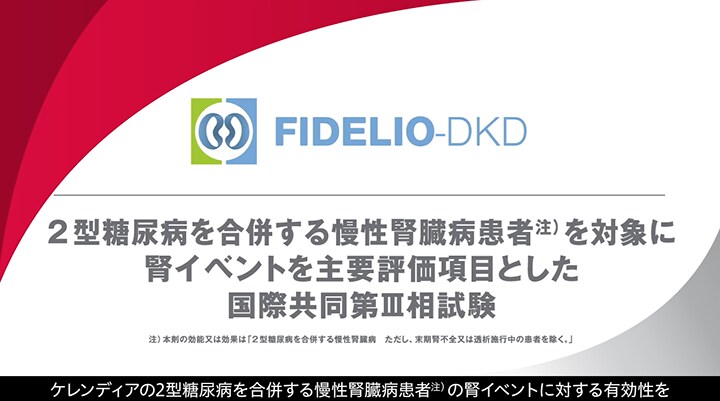 FIDELIO-DKD解説動画