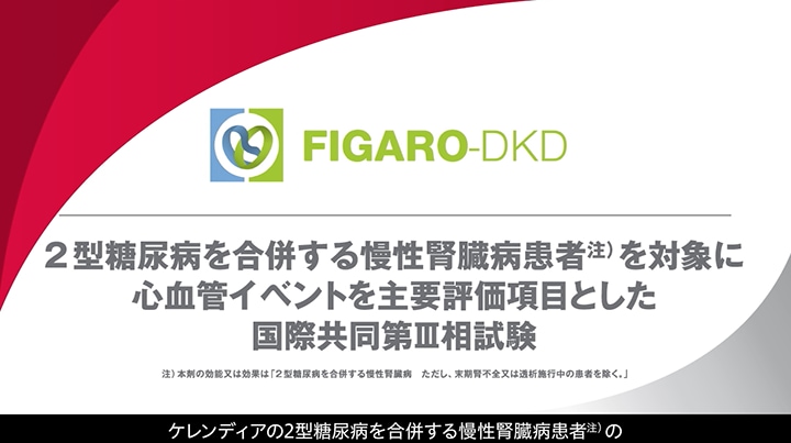 FIGARO-DKD解説動画