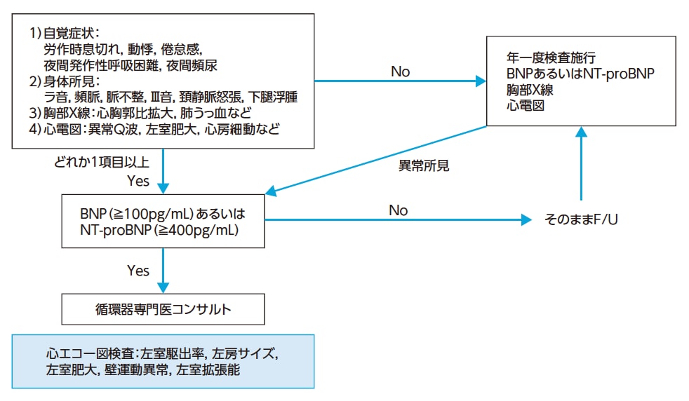 DM患者における心不全の診断フローチャート