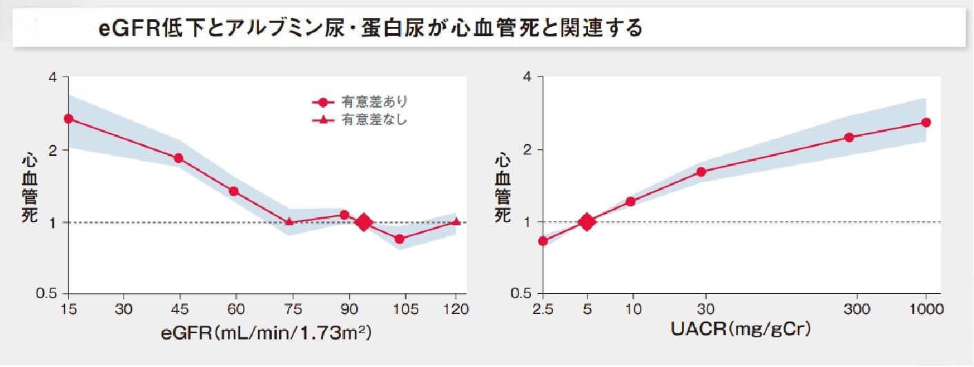 eGFR低下とアルブミン尿・蛋白尿が心血管死と関連する