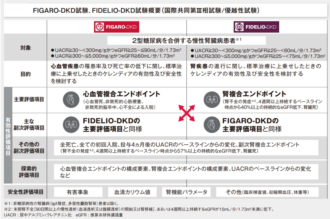 FIGARO-DKD試験、FIDELIO-DKD試験概要（国際共同第Ⅲ相試験/優越性試験）