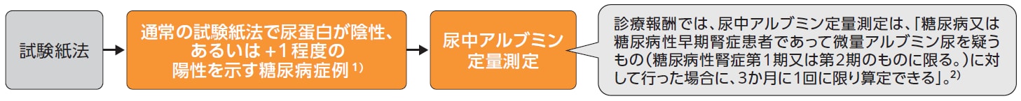 糖尿病における尿蛋白定性検査と尿アルブミン定量測定
