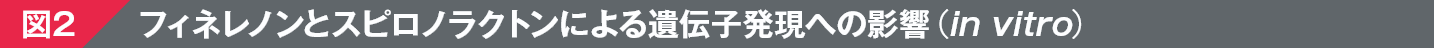 図2 フィネレノンとスピロノラクトンによる遺伝子発現への影響（in vitro）