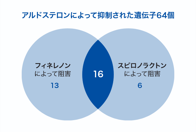 アルドステロンによって抑制された遺伝子64個