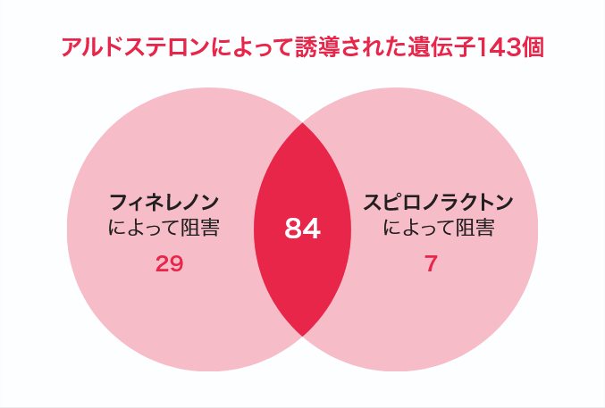 アルドステロンによって誘導された遺伝子143個