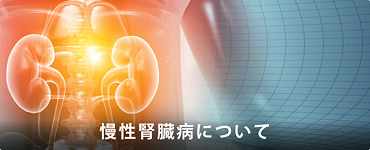 慢性腎臓病について