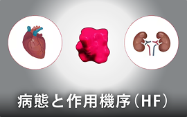 病態と作用機序（HF）
